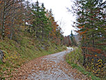 ...und folgen für einige Zeit dem flachen Forstweg
