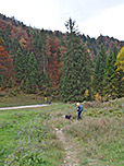 Von der Alm gehen wir hinunter...