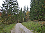 ...zum breiten Fahrweg
