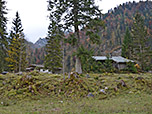 Die Schwarzachenalm