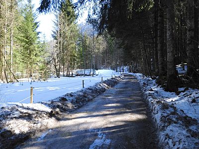 Auf dem Falkensteinweg spazieren am Wald entlang