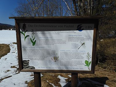 Die Orchideen schlafen noch unter dem Schnee