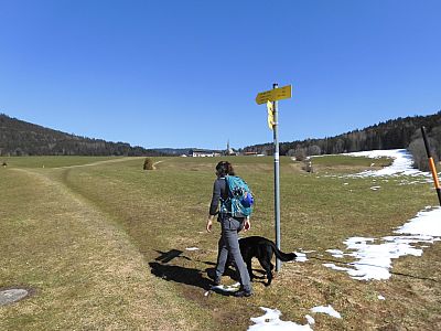 ... dann biegen wir links auf die Wiese ab.