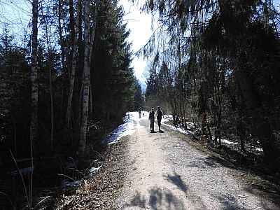 Durch den Wald wandern wir ...