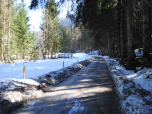 Auf dem Falkensteinweg spazieren am Wald entlang