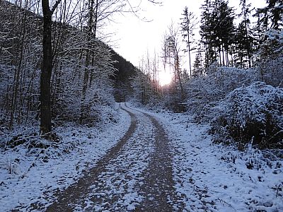 ... weiter durch den Wald