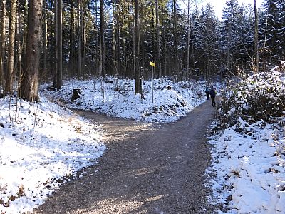 Hier bleiben wir auf dem Hauptweg und spazieren geradeaus