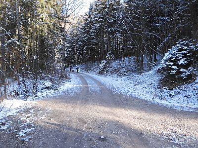 An dieser Kreuzung biegen wir links auf die große Forststraße ab