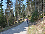 ...zurück zu einem Forstweg