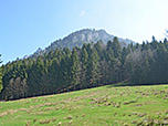 Blick zur Auerwand