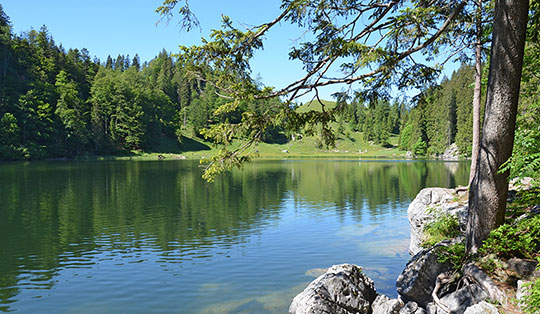 Taubensee über den Luftbodensteig