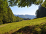 Blick von der Lichtung über Almwiesen