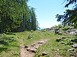 ...zum Sonnwendköpfl