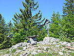 Am Sonnwendköpfl