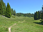 ...und folgen dem Wiesenpfad...