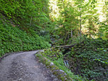 Der Weg ist zu Beginn steil
