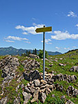 Vor der Alm biegen wir links ab...