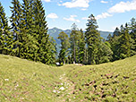 ...zum Waldrand