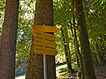 ...und biegen dort links Richtung Taubensee ab