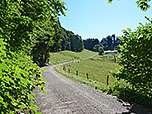 ...nähern wir uns der Donauer Alm