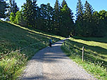 ...geht es über den Fahrweg weiter bergauf