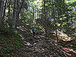 ...durch den schattigen Wald bergauf