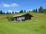 ...der Sauermöseralm