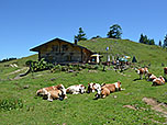 ...Stoibenmöseralm