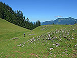 Durch eine Senke wandern wir hinab...