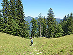 ...zum Waldrand