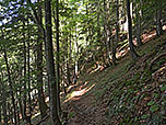 ...wandern wir über den Luftbodensteig dem Talboden entgegen