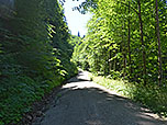...gelangen wir zu einem Forstweg, ...