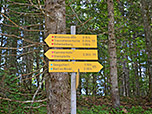 Später verlassen wir den Fahrweg rechtshaltend...