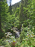 ...wandern wir vorbei an kleinen Wasserfällen...