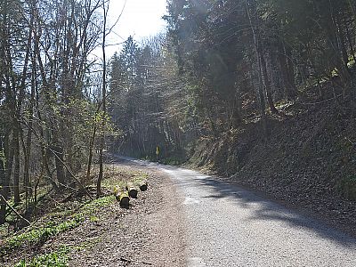Über die Fahrstraße wandern wir bergauf...