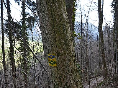 Das Zeichen des SalzAlpenSteigs