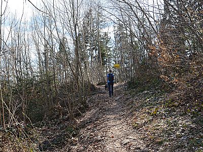 Schließlich kommen wir zu einem Abzweig...