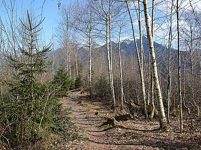 ...und biegen links ab in Richtung Zeppelinhöhe
