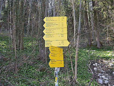 ...in Richtung Stehtrumpf