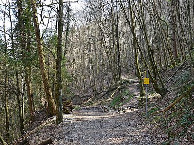 Beim Abzweig nach dem Bachgraben biegen wir rechts ab