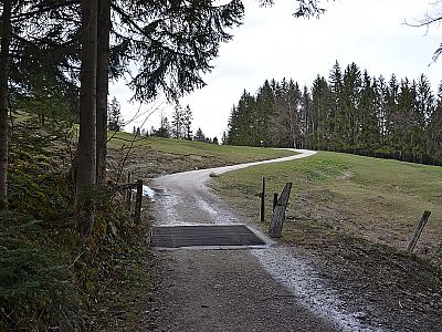 ...und erreichen freies Almgelände