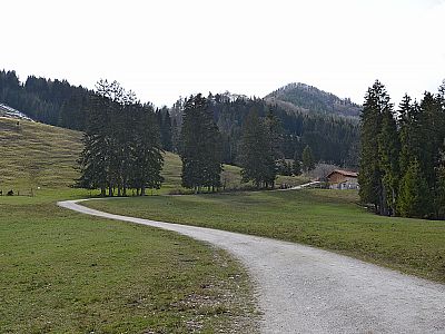 Über das weitläufige Wiesengelände...