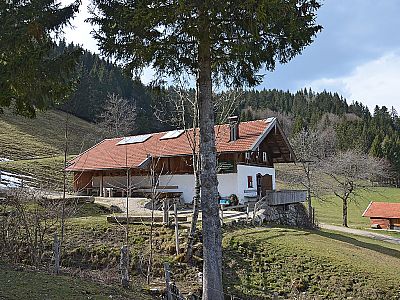 ...erreichen wir die Rachlalm