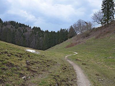 ...folgen wir einem Pfad...