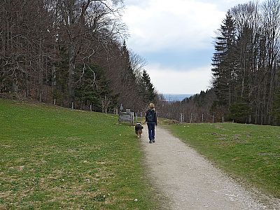...und wandern auf den Bergwald zu