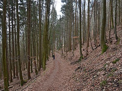 ...wandern wir zügig hinunter...