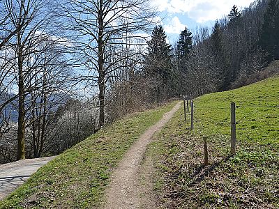 Wir schlagen den Weg in Richtung Zeppelinhöhe ein