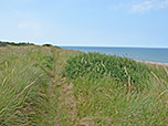 Am Rücken des Valbjerg Sande