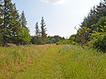 Ein Wiesenweg...