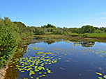 Am Teich lässt sich nochmals eine schöne Pause einlegen, ...